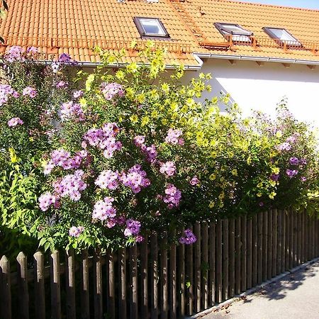 Wörth Wiflinger Graben Einfamilienhaus 빌라 외부 사진