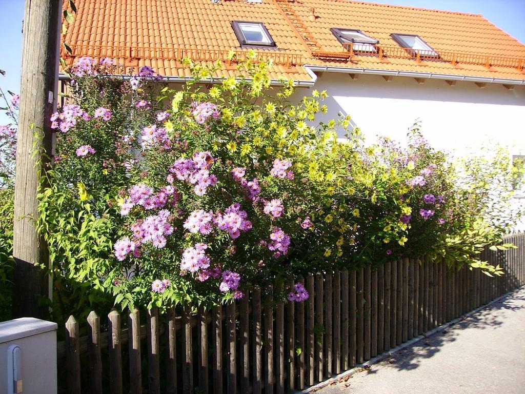 Wörth Wiflinger Graben Einfamilienhaus 빌라 외부 사진