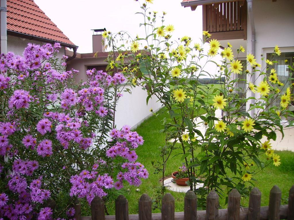 Wörth Wiflinger Graben Einfamilienhaus 빌라 외부 사진